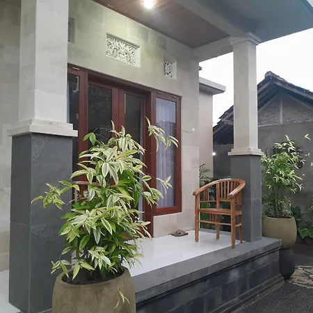 Arsa Nala House