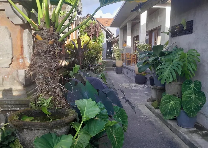 Maison d'hôtes Arsa Nala House