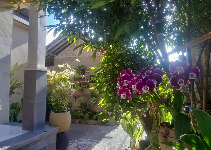 Arsa Nala House